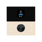 TOP PRO Wall Mounted Home Audio Amplifier