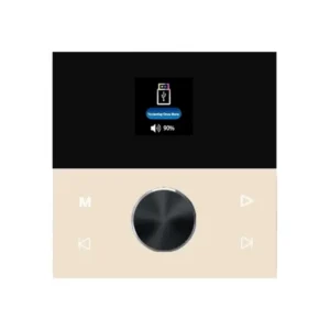 TOP PRO Wall Mounted Home Audio Amplifier